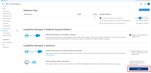 Dashboard showing the Access Management on the Anypoint Platform.