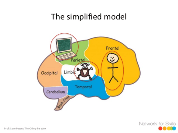 The Chimp Paradox model of the brain.