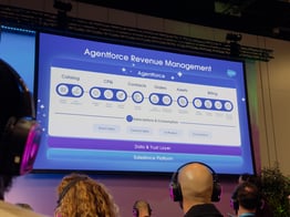 Agentforce Revenue Management Screenshot